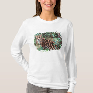 Margay, Leopardus wiedi, Heimat Mexiko bis T-Shirt