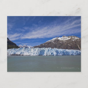 Margerie Glacier in Glacier Bay NP Postkarte
