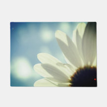 Margerite Gänseblümchen blauer Himmel Sommer Motiv