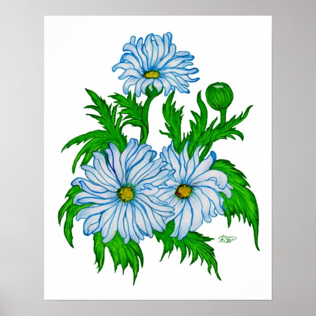 Margeriten Blume Poster (Vorne)