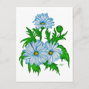 Margeriten Blume Postkarte