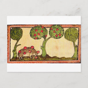 Marginalia Hedgehog Postkarte