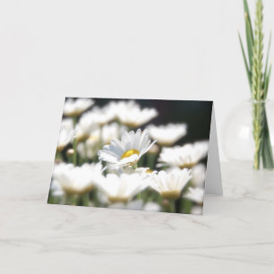 Marguerite Daisy Card Karte