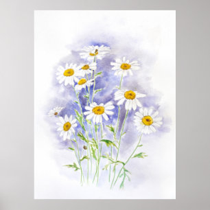Marguerite daisy handgemalt Aquarell Poster
