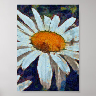 Marguerite Daisy mit Flügelinsekten Blumenart Poster