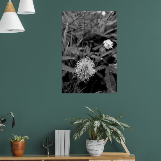 Maria-fecha-a-porta CONTRASTE Poster (Wohnzimmer 1)