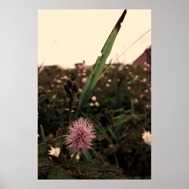 Maria-fecha-a-porta  -FILTRO Poster (Vorne)