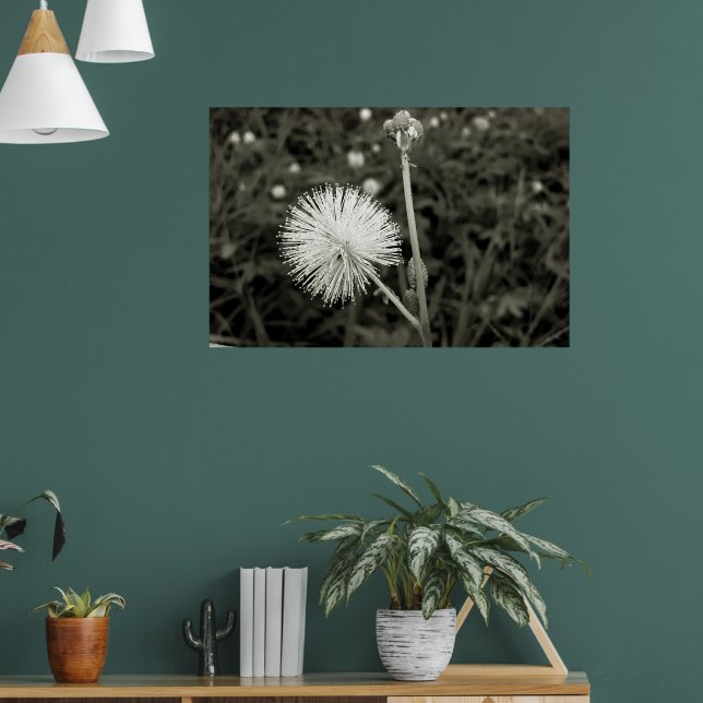 Maria-fecha-a-porta - p&b poster (Wohnzimmer 1)