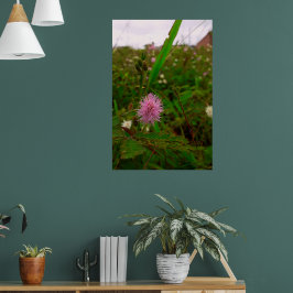 Maria-fecha-a-porta - VERTICAL Poster