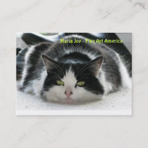 Maria-Freude - schöne Kunst Amerika. Visitenkarte