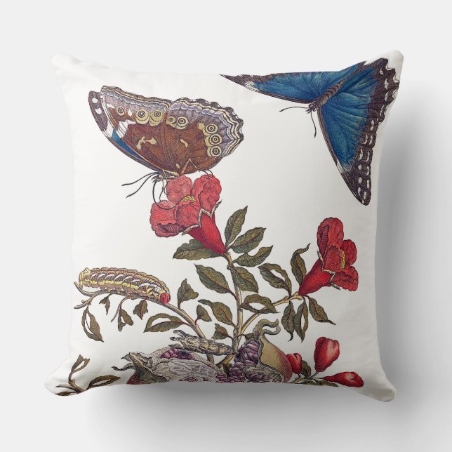 Maria Merian Butterflies Cushions Kissen (Vorderseite)