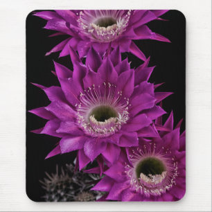 Maria Piazza bis zum dritten Mousepad