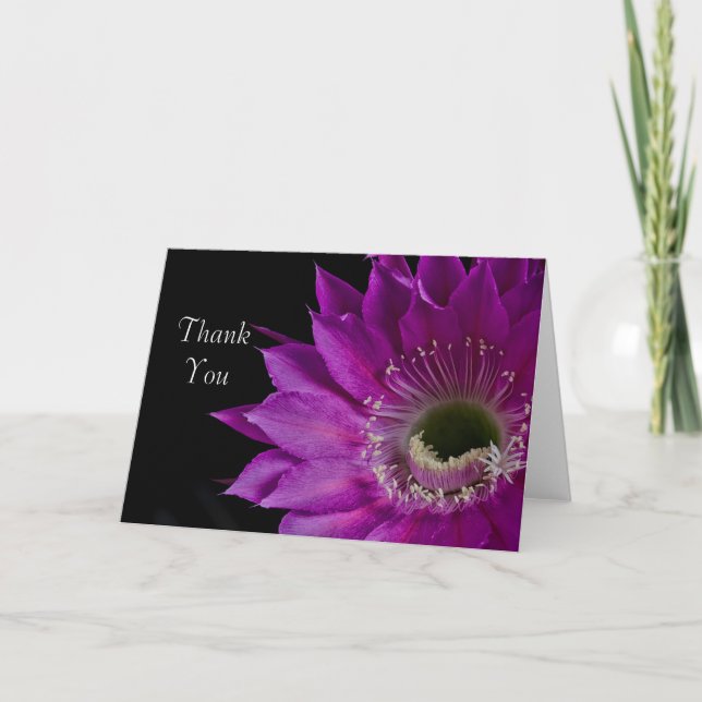 Maria Piazza kactus bloom Danke (Vorderseite)