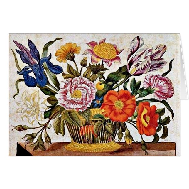 Maria Sibylla Merian - Von der Raupen Wunderbare (Vorderseite (Horizontal))