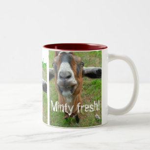 Mariah die Ziege - frische Tasse mit