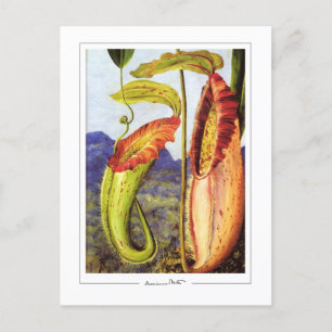 Marianne North #1 - Fine Art Postcard Postkarte