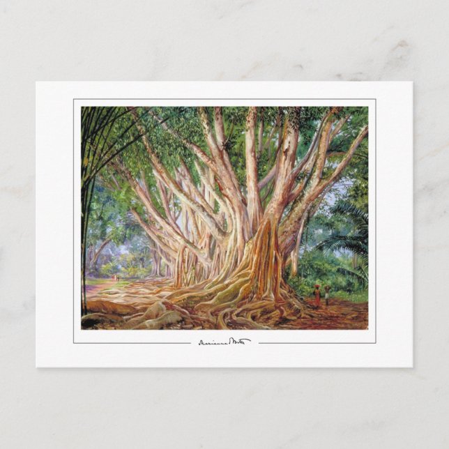 Marianne North #5 - Fine Art Postcard Postkarte (Vorderseite)