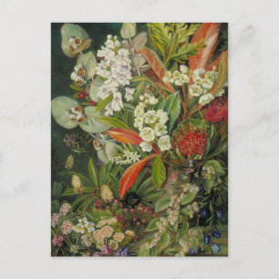 Marianne North Botanical Painting Postkarte