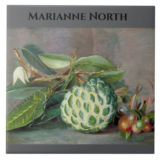 Marianne North Custard Apple Painting Fliese (Vorderseite)