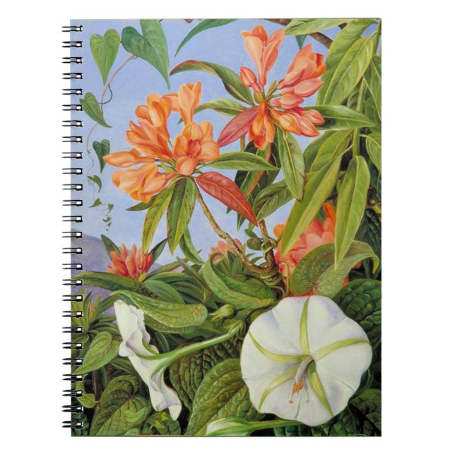 Marianne North - Javan Rhododendrum Notizblock (Vorderseite)
