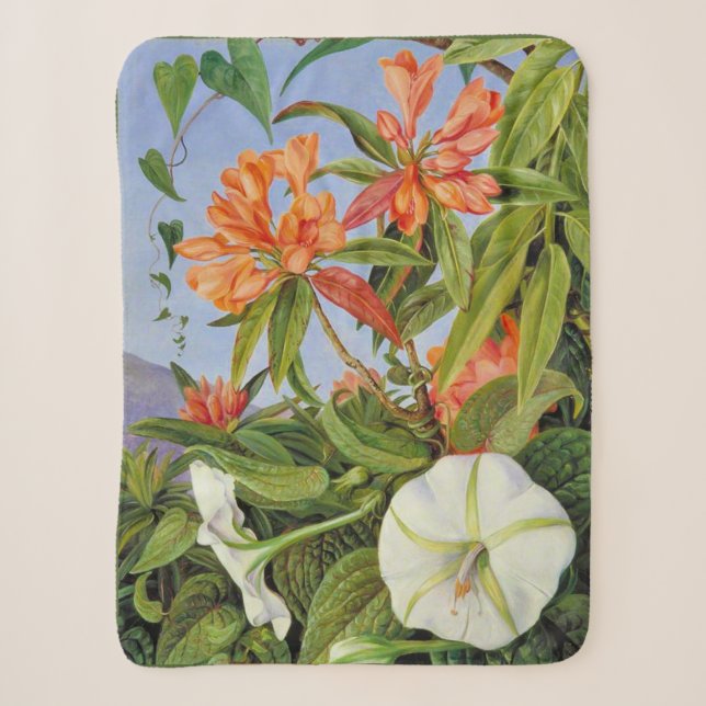 Marianne North - Javan Rhododendrum Sherpadecke (Vorderseite)