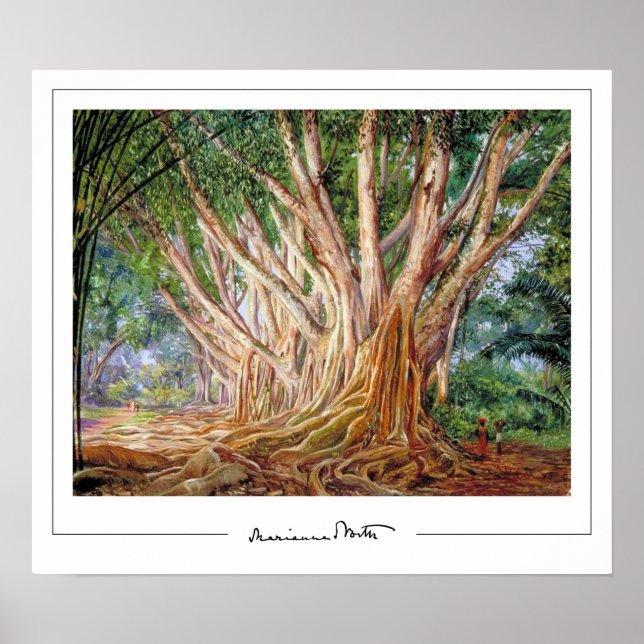 Marianne North Zedign Art Poster #5 (Vorne)