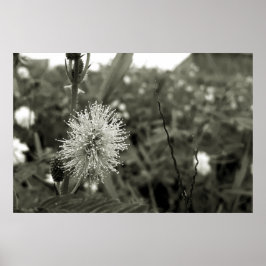 MariaS-fecha-a-porta Poster