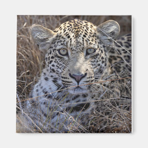 Maribye versteckt sich im Gras Magnet