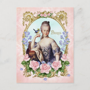 Marie Antoinette Pink Damask Antonia Rose Postkart Postkarte
