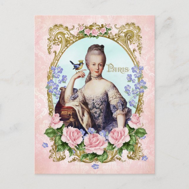 Marie Antoinette Pink Damask Antonia Rose Postkart Postkarte (Vorderseite)
