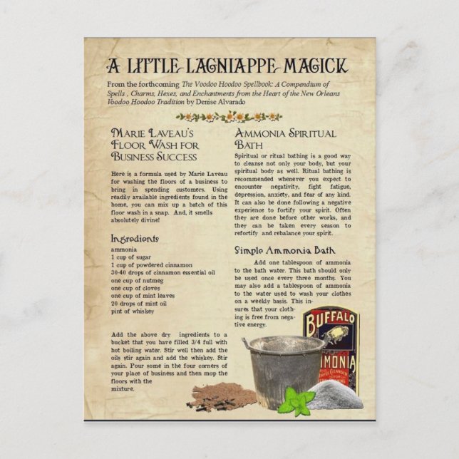 Marie Laveaus Floor Wash für den Unternehmenserfol Postkarte (Vorderseite)