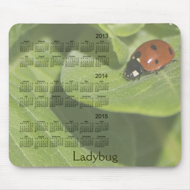 Marienkäfer-3-jähriger 2013-2015 Kalender Mousepad (Vorne)