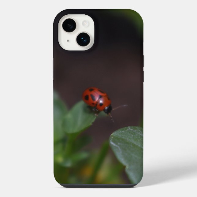 Marienkäfer auf Blumen iPhone Hülle (Rückseite)