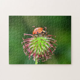 Marienkäfer auf Blüte Puzzle