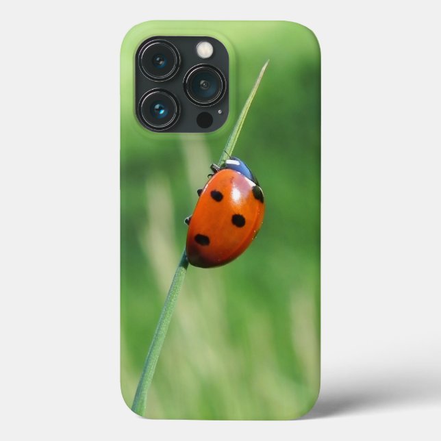 Marienkäfer auf einem Grashalm Case-Mate iPhone Hülle (Rückseite)