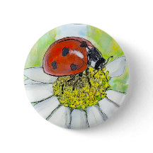 Marienkäfer auf einer Margerite