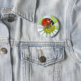 Marienkäfer auf einer Margerite Button