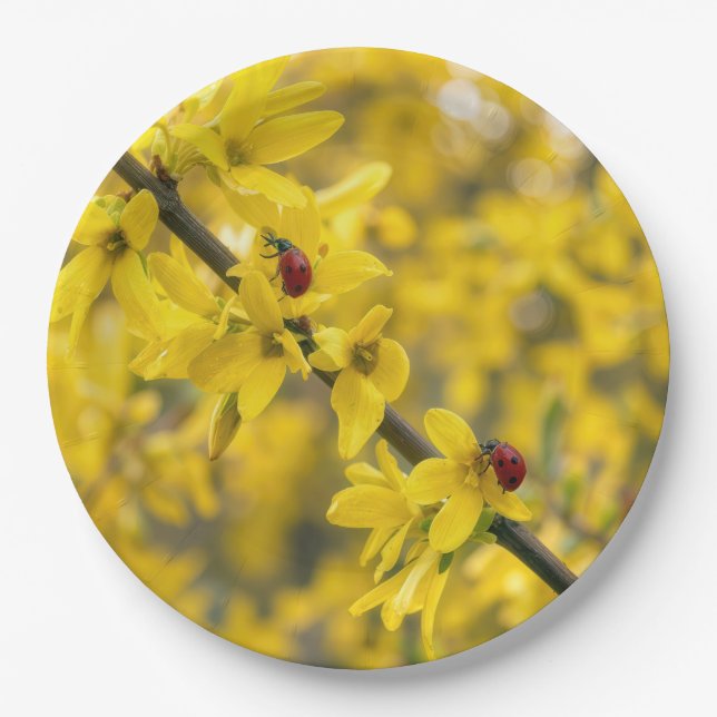 Marienkäfer auf gelbem Forsythienzweig Pappteller (Vorderseite)