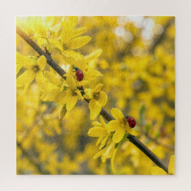 Marienkäfer auf gelbem Forsythienzweig Puzzle (Vertikal)
