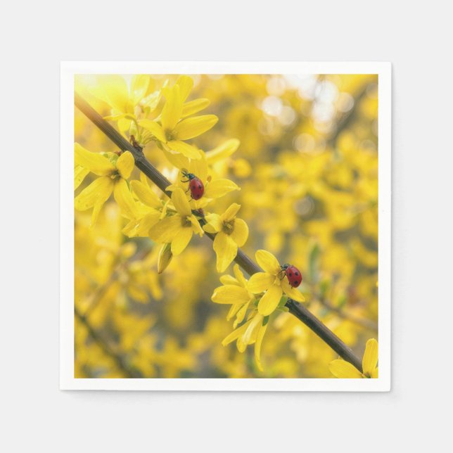 Marienkäfer auf gelbem Forsythienzweig Serviette (Vorderseite)