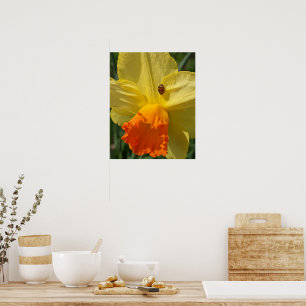 Marienkäfer auf gelber Narzisse floral Poster