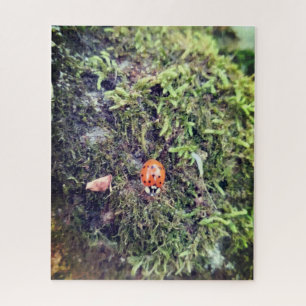 Marienkäfer auf Moos Fotografie Puzzle
