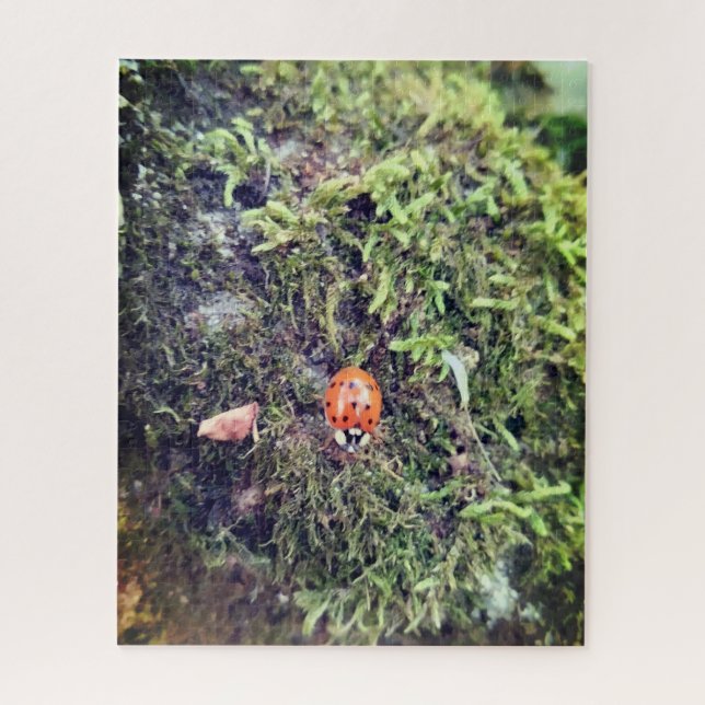 Marienkäfer auf Moos Fotografie Puzzle (Vertikal)