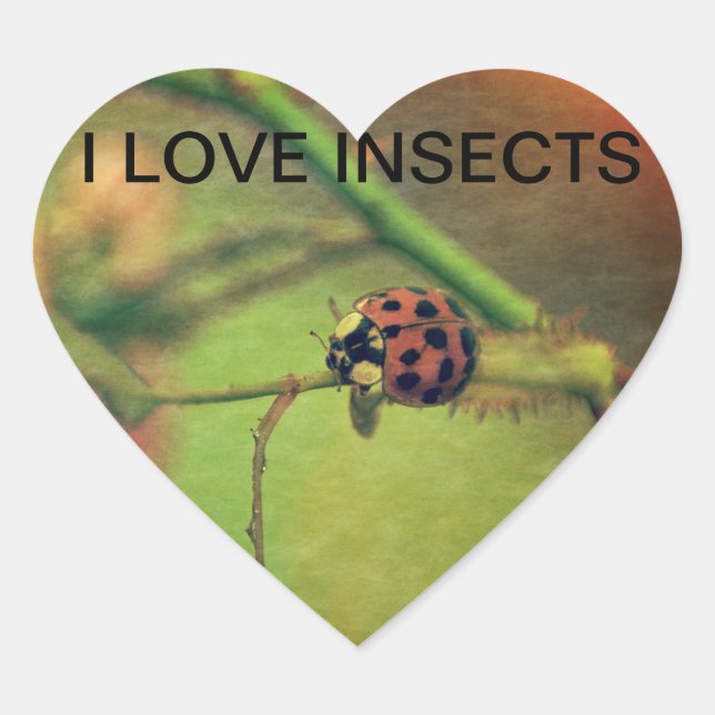 Marienkäfer Herz-Aufkleber (Vorderseite)