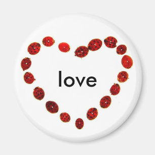 Marienkäfer-Herz-Liebe-Magnet Magnet