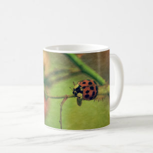 Marienkäfer in der Natur Kaffeetasse