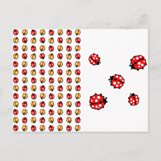 Marienkäfer Invasion Postkarte (Vorderseite)