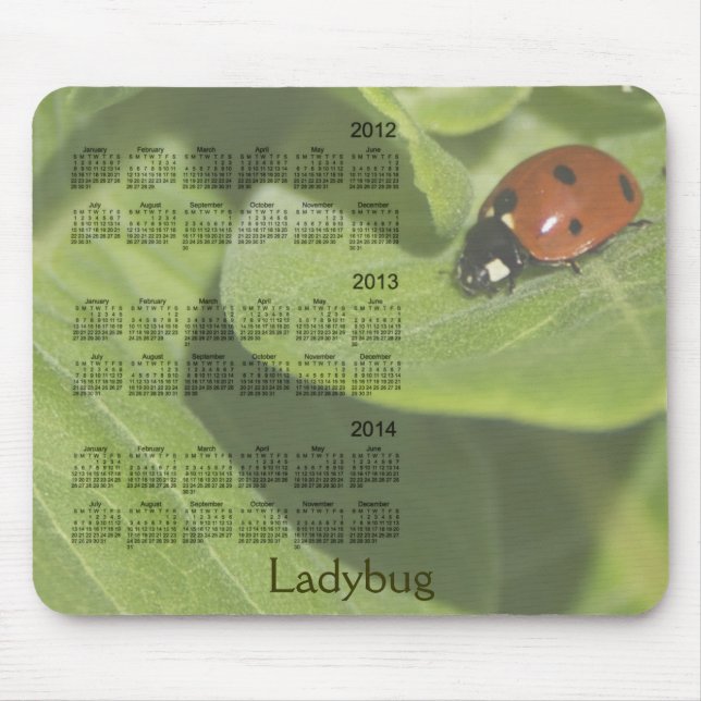Marienkäfer-Kalender 2012-2014 Mousepad (Vorne)