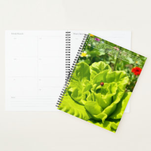 Marienkäfer-Kalender Planer