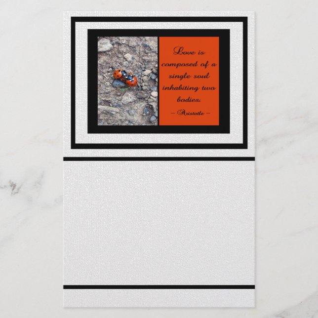 Marienkäfer-Küsse Briefpapier (Vorderseite)